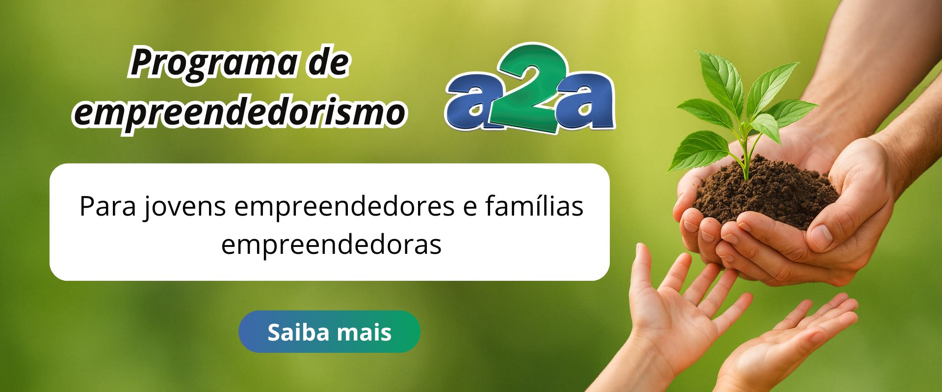 Imagem Slide 4